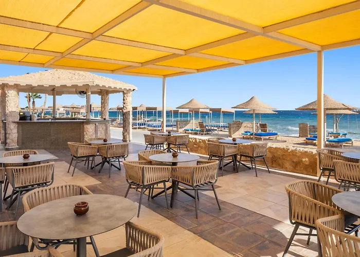 Pickalbatros Citadel Sahl Hasheesh (adults Only)