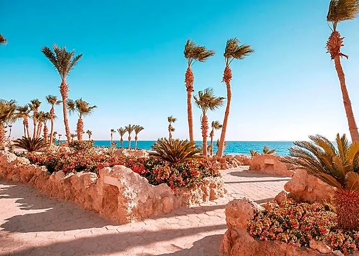 Pickalbatros Citadel Sahl Hasheesh (adults Only) Üdülőközpont 5*